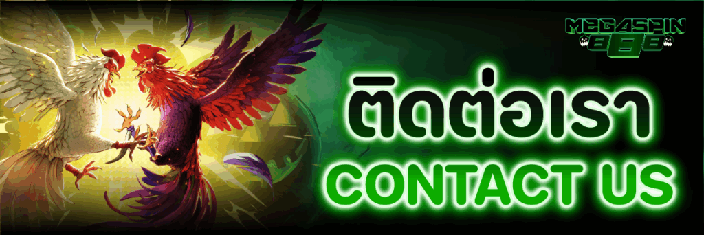 ติดต่อเรา